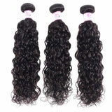 10A Virgin Hair 3 Bundles with 4 x 4 Lace Closure Water Wave Hair
