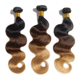 16 – 26 Inch Ombre Hair Human Remy Hair Extensions Body Wave (#1B/#4/#27)